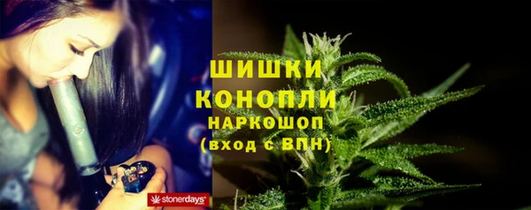 молекула духа Богородицк
