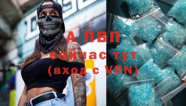 твердый Богданович