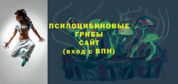 твердый Богданович