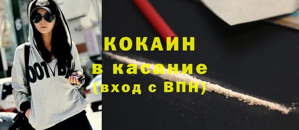 молекула духа Богородицк