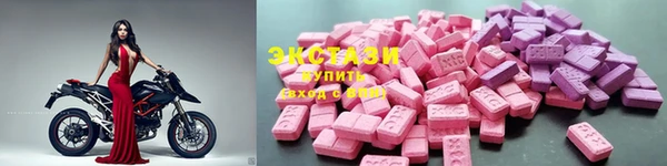 твердый Богданович