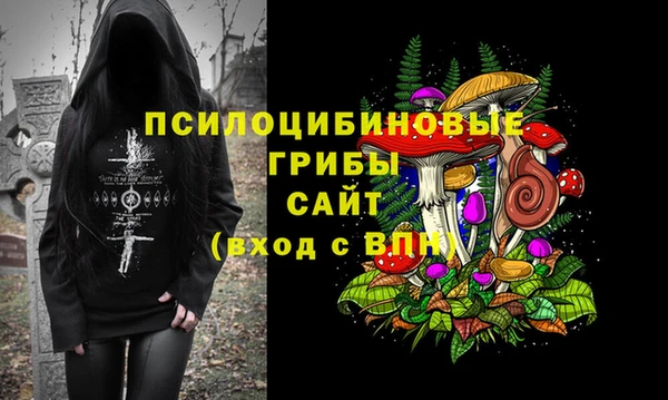 молекула духа Богородицк
