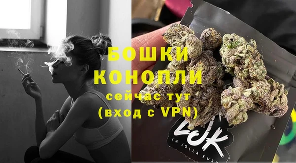 твердый Богданович