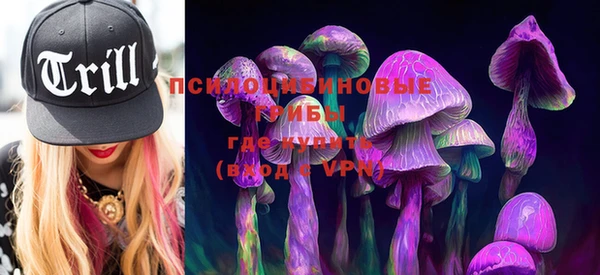 твердый Богданович