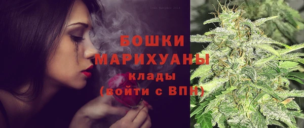 молекула духа Богородицк