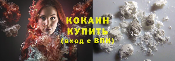 твердый Богданович