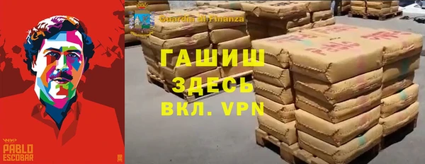 молекула духа Богородицк