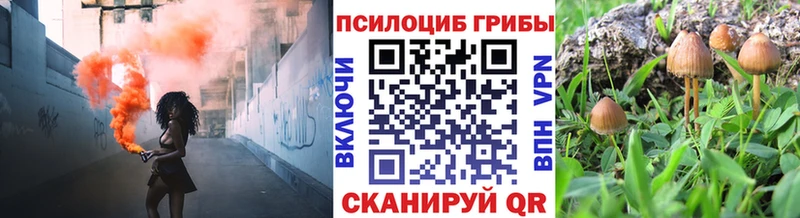 Галлюциногенные грибы Magic Shrooms  даркнет сайт  Белая Холуница 