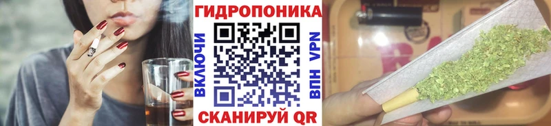 Бошки Шишки индика наркошоп Белая Холуница